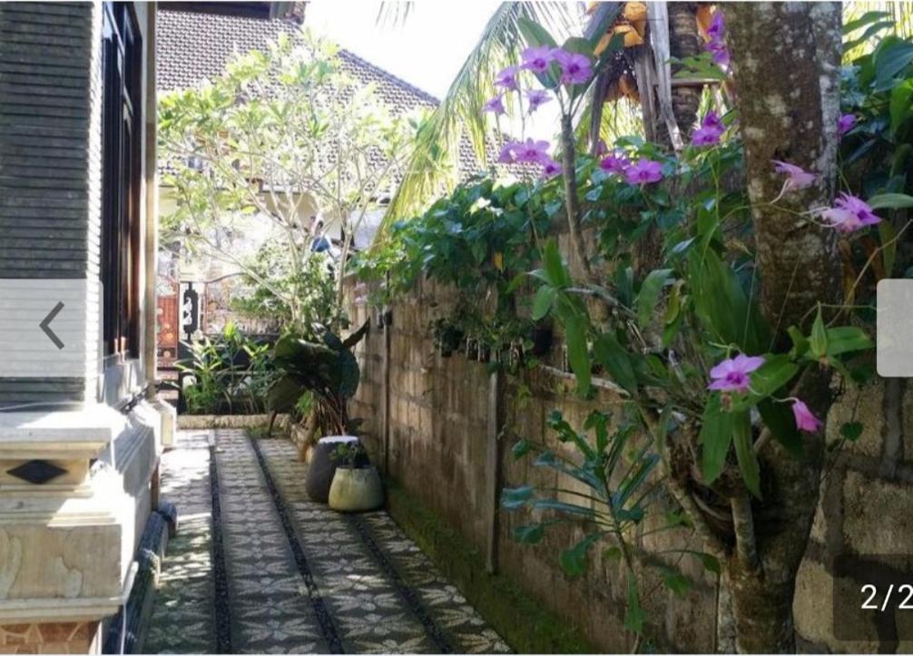Kuwera Homestay Batununggul Exterior photo